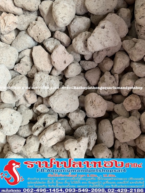 หินภูเขาไฟ ขนาด 18 กิโลกรัม ราคา ถูกที่สุด ดีลบีเคเค แกลเลอรีภาพที่ 6