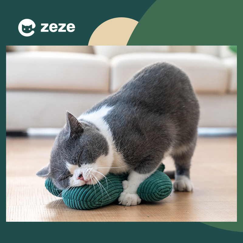 Cactus funny cat toy จาก hi catnip toy ของเล่นแมวแมวเพื่อคลายความเบื่อและกัดอุปกรณ์แมว