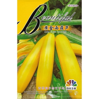 เมล็ด ซูกินี  golden zucchini  สายพันธุ์ F1 บรรจุ : 5เมล็ด