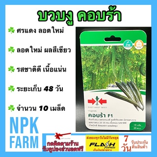 ผักซอง ศรแดง บวบงู คอบร้า จำนวน 10 เมล็ด/ซอง เมล็ดพันธุ์ ลอตใหม่ งอกดี ปลูกง่าย ต้นแข็งแรง แตกแขนงดี ผลสีเขียวสด