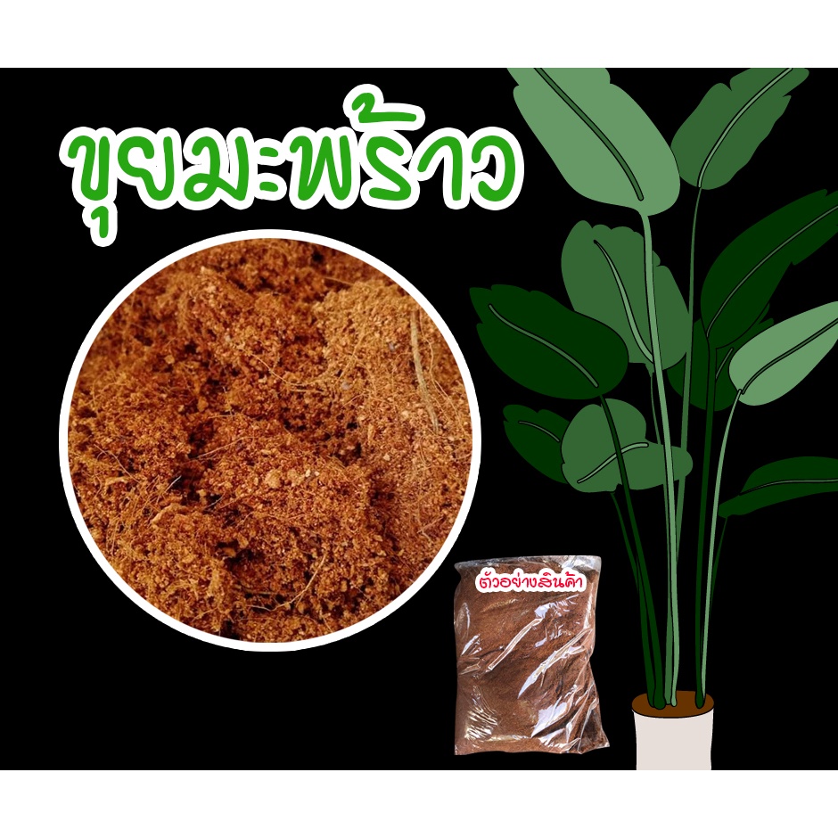 ขุยมะพร้าว ผสมดิน เป็นวัสดุปลูก แคคตัส กระบองเพชร ไม้ฟอกอากาศ 1-5 ลิตร (แบ่งขาย)