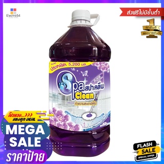 น้ำยาทำความสะอาดพื้นผิวทั่วไป SPACLEAN 5,200ml WILD LAVENDERFLOOR CLEANER SPA CLEAN 5200ML WILD LAVENDER