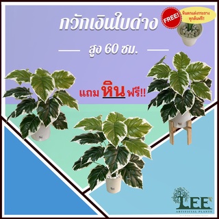 ต้นกวักเงินใบด่าง สูง 70 ซม. ต้นไม้ปลอมตกแต่งบ้าน Leeartplants