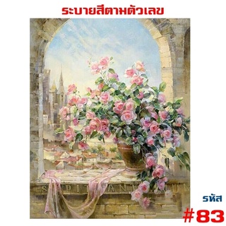 ภาพระบายสีตามตัวเลข มีเฟรมไม้ให้ 40x50cmพร้อมส่ง รูปวาด ระบายสี ภาพชุด DIY ภาพวาดระบายสี ภาพระบายสีตามตัวเลข kkrit999