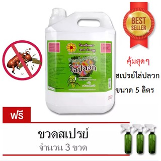 ไล่ปลวก (5 ลิตร) Sunflower and Doogy สเปรย์สมุนไพร ***ฟรี ขวดสเปรย์เปล่า 3 ขวด