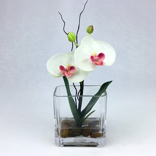 OrientalFineArt แจกันดอกกล้วยไม้ประดิษฐ์ สไตล์มินิมอล Artificial Orchid in glass ดอกไม้พร้อมแจกัน