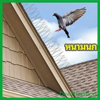 DeeThai หนามไล่นก อุปกรณ์ไล่นกทำรัง ทนทาน ทนแดด ทนฝน วิธีกำจัดนกพิราบ bird thorn