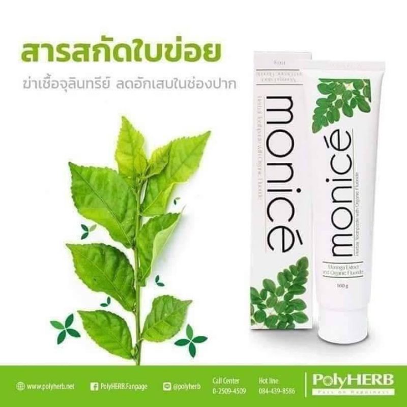 ยาสีฟัน สมุนไพร MONICE (POLY HERB) 160g. - ps.231 - ThaiPick