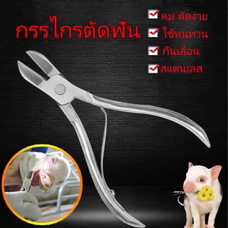 ถูก💥ตัดฟันกระต่าย คีมฟันหมู กรรไกรตัดฟัน กรรไกรตัดฟันหมู กรรไกรตัดฟัน​สัตว์ เพื่อการเพาะพันธุ์ ป้องกันการกัด