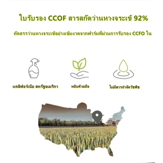 Nature Republic Soothing Moisture Aloe Vera 92% Soothing Gel 300mlเจลว่านหางจระเข้ เนเจอร์รีพับบลิค