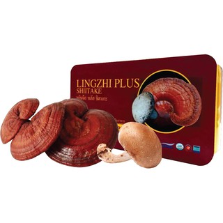 Lingzhi Plus Shiitake หลินจือ พลัส ชิตาเกะ   60 capsules