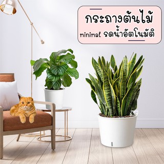 กระถางต้นไม้ มินิมอล 🌱 พลาสติก กระถาง ต้นไม้​ แบบ​เก็บ​น้ำ​ได้​ รด​น้ำ​อัตโนมัติ​ สีขาว มอนสเตอร่า ต้นไม้ กระถางพลาสติก