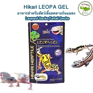 Hikari Leopa Gel 60g อาหารสำหรับสัตว์กินแมลง อาหารตุ๊กแกเสือดาว ตุ๊กแกหางอ้วน