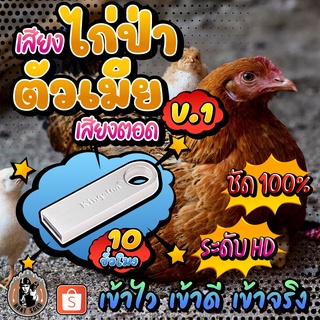 [ใหม่] เสียงไก่ป่าตัวเมียV.1เสียงตอด {{ยาวสะใจ10ชม}} ใส่แฟลชไดร์ฟ เสียงชัดใสไม่มีโฆษณาแทรก พร้อมส่ง!มีเก็บเงินปลายทาง!!!