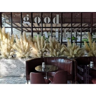 ดอกเลา(1กำได้10ก้าน) ดอกเลาขาวทองธรรมชาติ​ ดอกไม้จริง​ pampas​ ดอกหญ้าแห้ง​ หญ้าแห้ง มี3ไซส์S, M, L