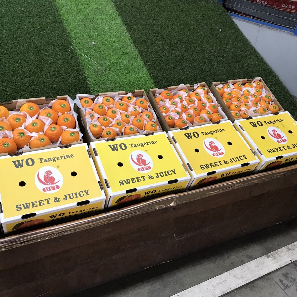 🍊ส้มไต้หวัน ส้มจุก Juicy Honey Beauty Orange นกแก้ว HFT ปลาวาฬ ใบไม้ งิ้ว อินทรี✨ขายยกลัง🚚ส่งทั่วไทย