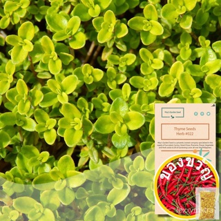 Thyme Seeds, Herb Seeds#022园艺/手链/母婴/seeds/男装/鲜花/木瓜/头饰/儿童/帽子/ D9HN