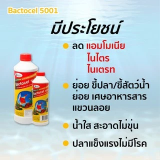Bactocel 5001 1000cc จุลินทรีย์บ่อปลา ตู้ปลา ปรับสภาพน้ำใส ย่อยขี้ปลา แก้น้ำขุ่น ลดแอมโมเนีย
