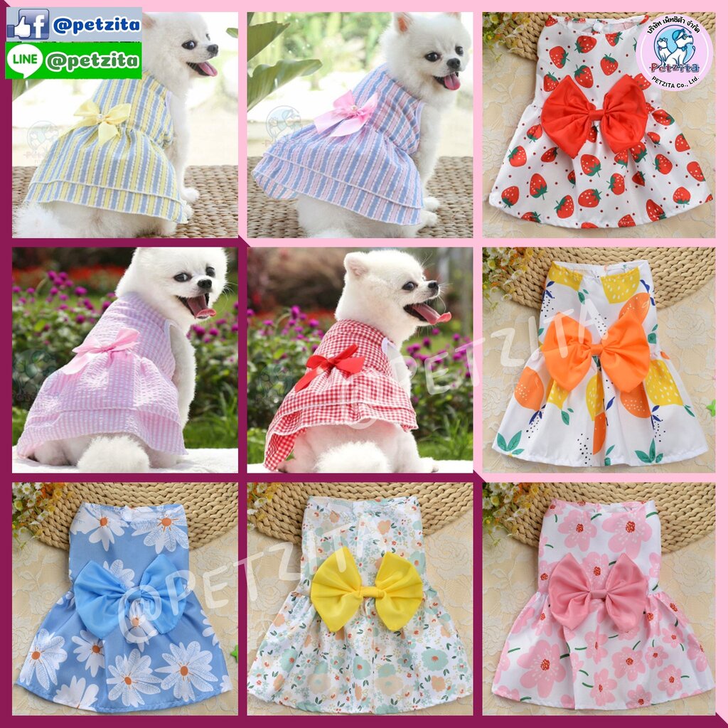พร้อมส่ง เดรส ติดโบว์ ลายน่ารักสุดๆ for pet สุนัข หมา แมว