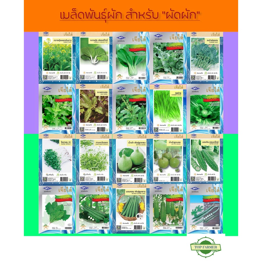 เมล็ดพันธุ์ ชุดผักสำหรับทำ ผัดผัก น้ำพริก เจียไต๋ ตราเครื่องบิน ผักสวนครัว เมล็ดผัก เมล็ดพันธุ์พืช เมล็ดพันธุ์ผัก AK
