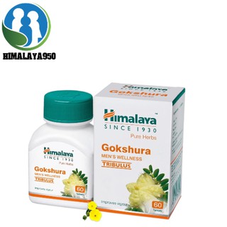 Himalaya Goksura 60tab