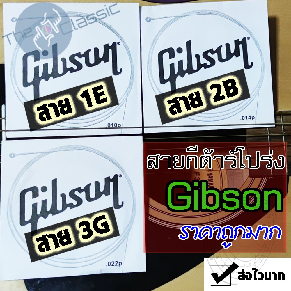 สายกีต้าร์โปร่ง Gibson (สายแยก) ราคาถูกจัด ปลัดบอก ว่าต้องลองซื้อ