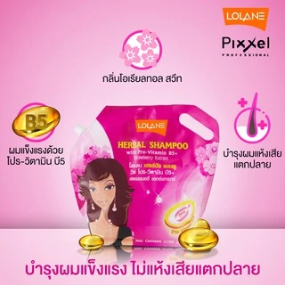 แชมพู/ครีมนวด โลแลน เฮอร์บัล/พิกเซล แอนตี้ แบคทีเรีย Lolane Herbal/Pixxel Anti Bacterial Shampoo/Conditioner 2700 ml.
