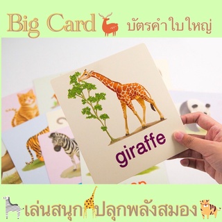 การ์ดหนูชอบสัตว์น่ารัก แฟลชการ์ดสำหรับเด็ก บัตรคำ Big Card