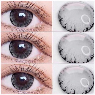 ‼️พร้อมส่ง‼️ Shimmer / Tommy  (gray / brown)บิ๊กอาย ตาโต สีเทา สีน้ำตาลเฮอเซลนัท ตาหวาน ลายดังขายดี