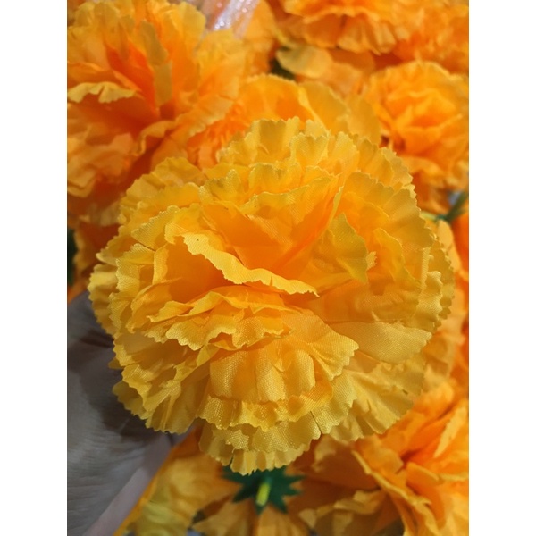 ดอกดาวเรือง ดอกใหญ่ สีแดง สีส้มทอง ดอกใหญ่10ซม.ดาวเรืองจัมโบ - รูปที่ 3