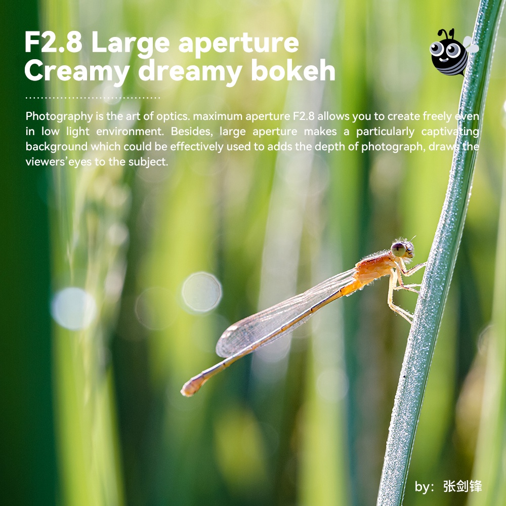 Ttartisan เลนส์มาโคร 40 มม. F2.8 APS-C 1:1 แมนนวลโฟกัส สําหรับ Sony E Canon EOSM Fuji X Nikon Z M43 #8
