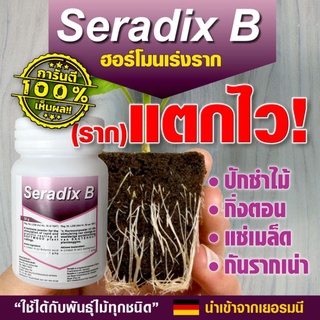 hormone rooting powder (Seradix)