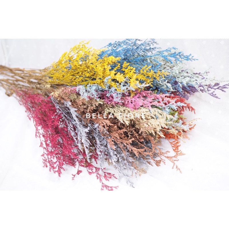 New!!! ถูกมากกกกก!! diy แคสเปียส  สีย้อมสี 10 กิ่ง ซองละ 25บาทเท่านั้นจ้า