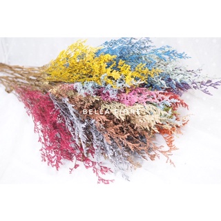 New!!! ถูกมากกกกก!! diy แคสเปียส  สีย้อมสี 15 กิ่ง ซองละ 20 บาทเท่านั้นจ้า