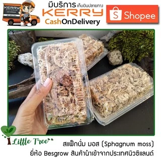 สแฟ็กนั่มมอส แบ่งขาย Sphagnum moss บรรจุกล่องขนาดและปริมาณของสินค้าตามที่ระบุไว้ อ่านก่อนสั่งซื้อ