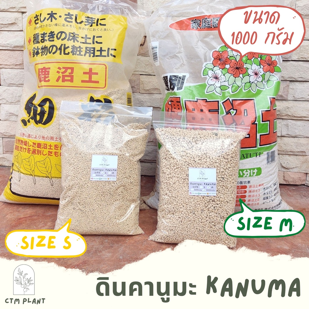 ดินคานูมะ Kanuma 1kg. ดินญี่ปุ่น พร้อมส่ง‼️ วัสดุปลูกแคคตัส ดินแคคตัส ไม้อวบน้ำ