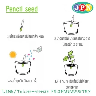 ดินสอรักษ์โลก ปลูกได้ เลือกเมล็ดได้ plantable pencils
