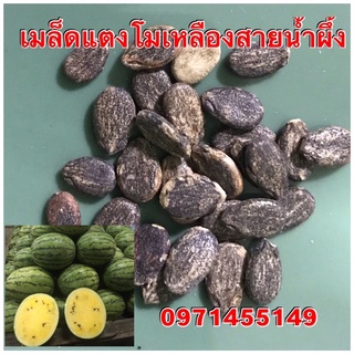 เมล็ดพันธุ์แตงโมเหลืองสายน้ำผึ้ง25-30เมล็ด