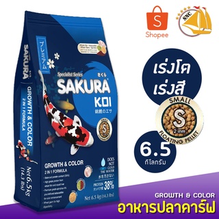 Sakura Koi Growth &amp; Color อาหารปลาคาร์ฟ สูตรเร่งสี เร่งโต 6.5kg (เม็ดเล็ก) (ถุงน้ำเงิน)