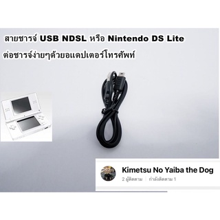 สายชาร์จ Nintendo DS Lite,NDSL,ds lite สาย USB