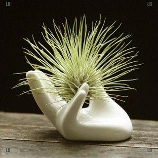 Lb โมเดลมือพอร์ซเลน ที่วางดอกไม้ สําหรับบ้าน