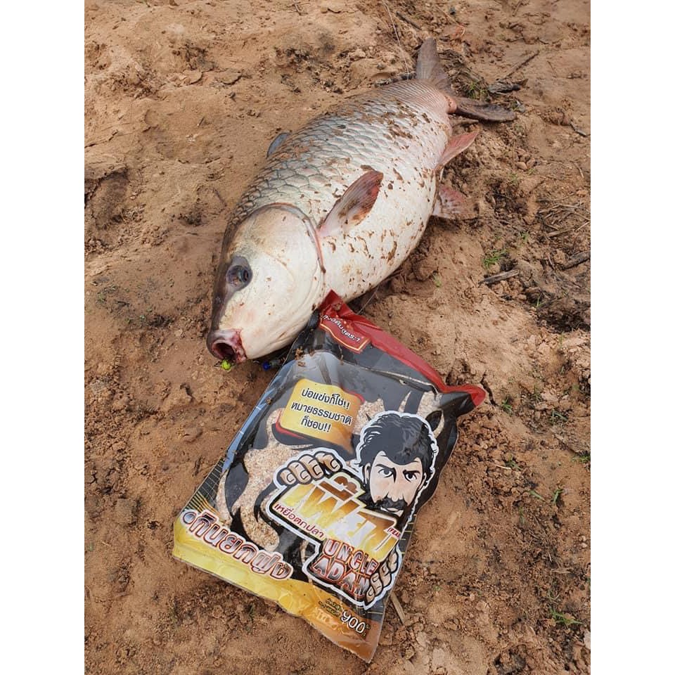 🔥โปร3ถุง🔥 เหยื่อตกปลา เฟี๊ยบ ลุงอดัม สูตร 1 กินยกฝูง บ่อแข่งก็ใช่ หมายธรรมชาติก็ชอบ - รูปที่ 5