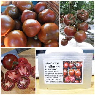 เมล็ดพันธุ์ มะเขือเทศ แบล็คปริ้นซ์ (Black Prince Tomato Seed) บรรจุ 20 เมล็ด คุณภาพดี ราคาถูก ของแท้ 100%