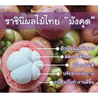 บุญนคร มังคุดกวนคีรีวง GI แท้ 100% [250g] หวานอมเปรี้ยว หนึบหนับ ไม่ผสมแป้ง เกรดส่งออก