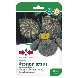 เมล็ดพันธุ์ฟักทอง F1 ข้าวตอก 573 PUMPKIN SEED EAST-WEST SEED KHAOTOK 573 F1