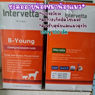 B-Young อาหารเสริมบำรุงร่างกายสำหรับสุนัขและแมวสูงวัย 100เม็ด