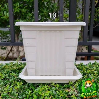 ถูกและหนา‼️กระถางเหลี่ยมทรงโรมัน(ทรงสูง)มีขา หนา 7"/10"/14" ❌️กระถางกับจานขายแยกค่ะ❌️ สีขาวครีม/เทา/ดำ/อิฐ