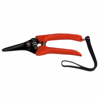 papamami Solo Pruning Shears NO.213 กรรไกรตัดแต่งกิ่งไม้ NO.213 - สีแดง (1อัน)