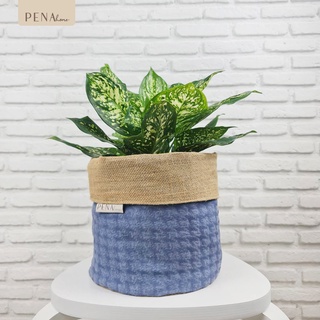 Pena Home : PLANT POT COVER กระถางต้นไม้ สีพื้น ฟ้าเทา 7PAS0002-7PAXL0002