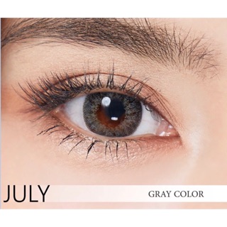 🔥 คอนแทคเลนส์ ✨ขนาดกลาง ✨Gray✨July (sweetyplus)